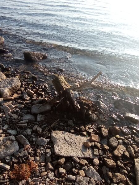 Фото 1 из отзыва о базе отдыха Алмаз