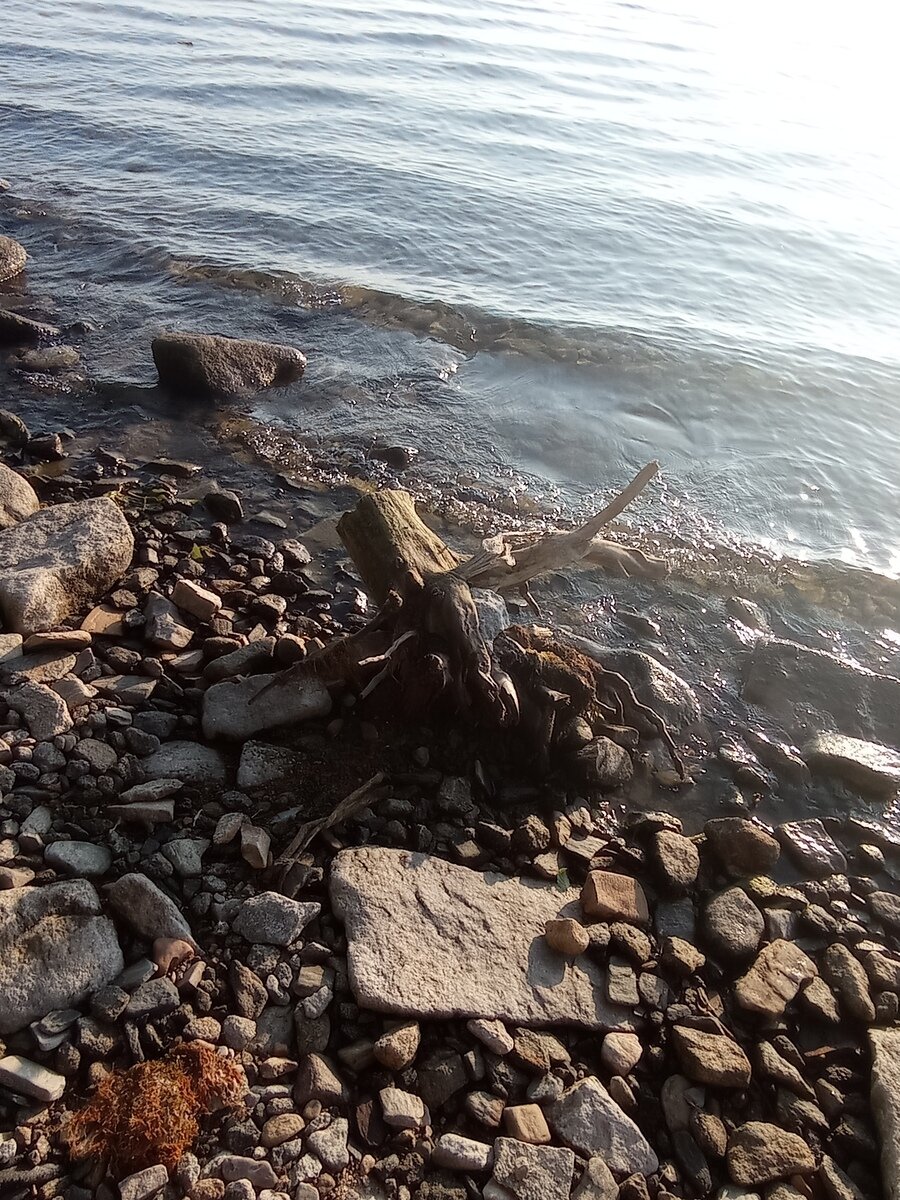 Фото 1 из отзыва о базе отдыха Алмаз