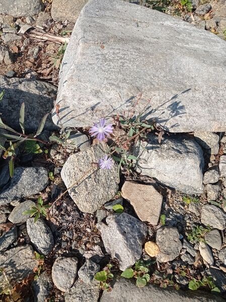 Фото 8 из отзыва о базе отдыха Алмаз