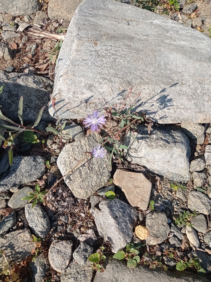 Фото 8 из отзыва о базе отдыха Алмаз