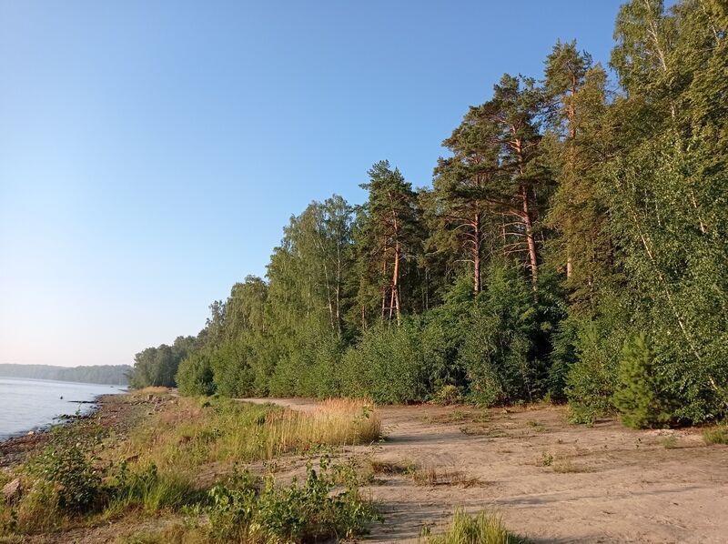 Фото 7 из отзыва о базе отдыха Алмаз