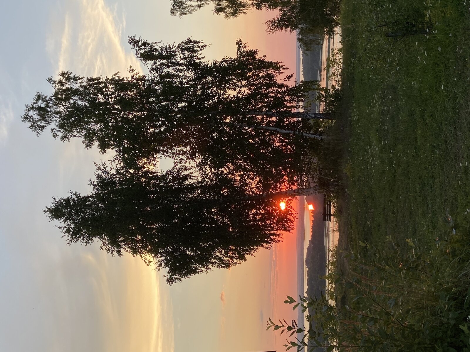 Фото 9 из отзыва о доме отдыха Васильсурский