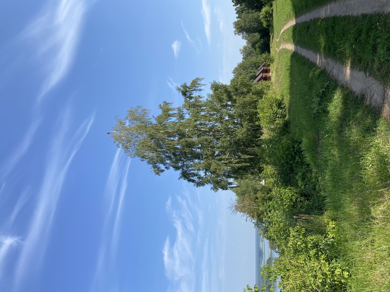 Фото 7 из отзыва о доме отдыха Васильсурский