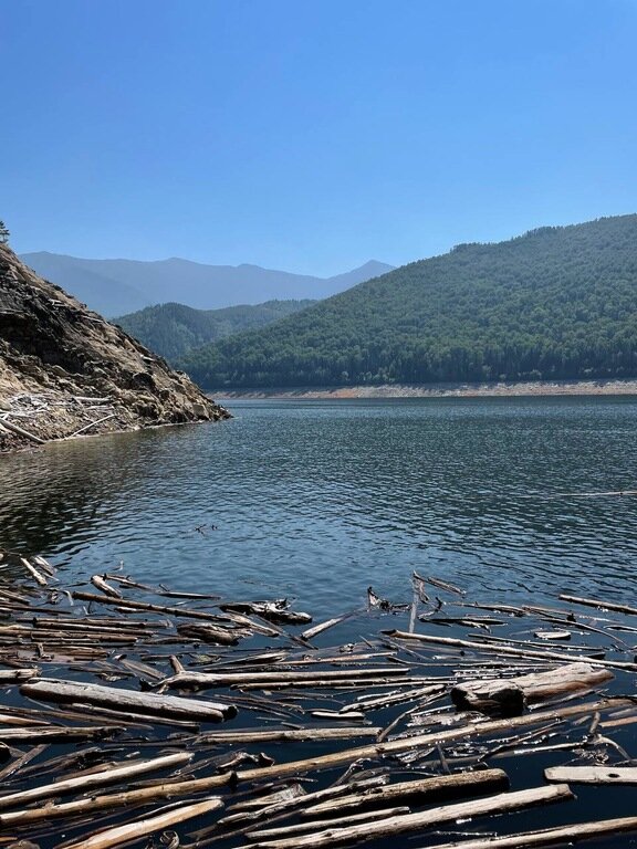 Фото из отзыва от 06.08.2022