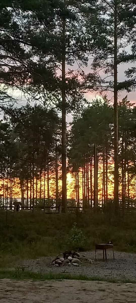 Фото 4 из отзыва о базе отдыха Сямозеро