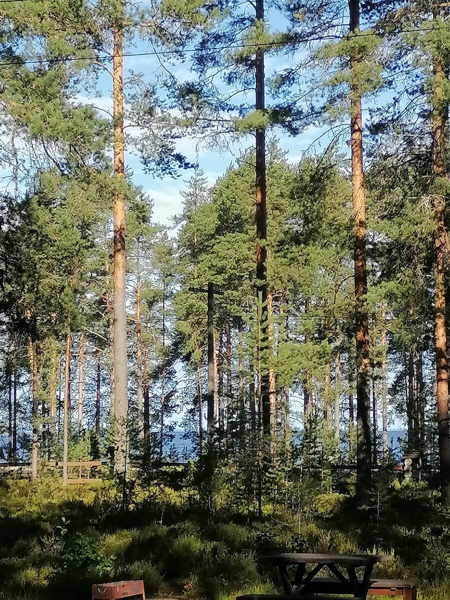 Фото 5 из отзыва о базе отдыха Сямозеро