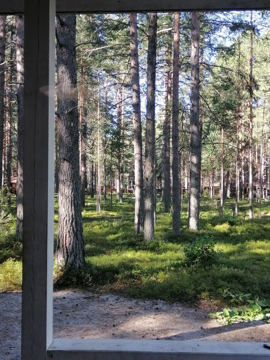 Фото 7 из отзыва о базе отдыха Сямозеро