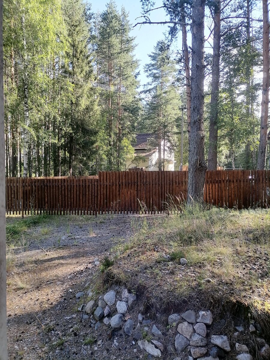 Фото 3 из отзыва о базе отдыха Сямозеро