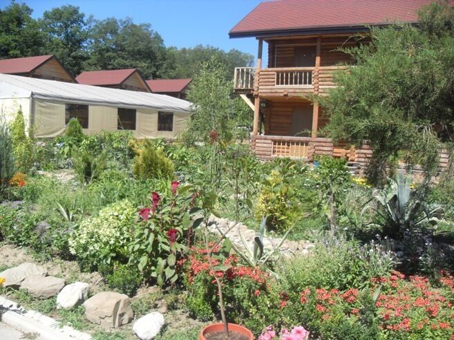 Экодеревня «Цветочное море» | Цветочное море, Краснодарский край