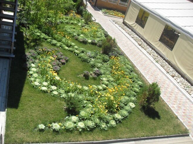 Экодеревня «Цветочное море» | Цветочное море, Краснодарский край