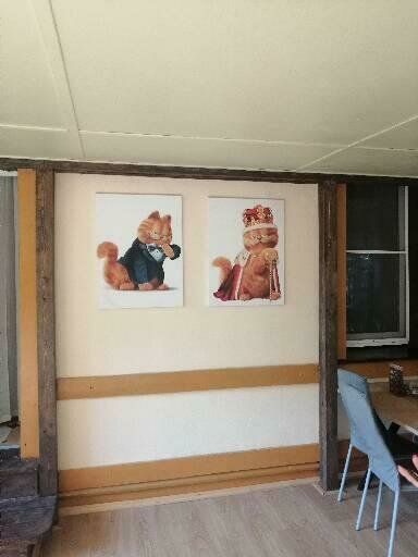 Фото 2 из отзыва о загородном отеле VOLKOFF SKY