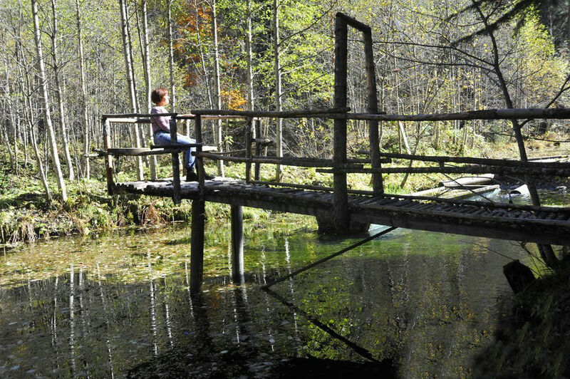 Турбаза «Домбай-Турист» | Домбай-Турист, Республика Карачаево-Черкесия