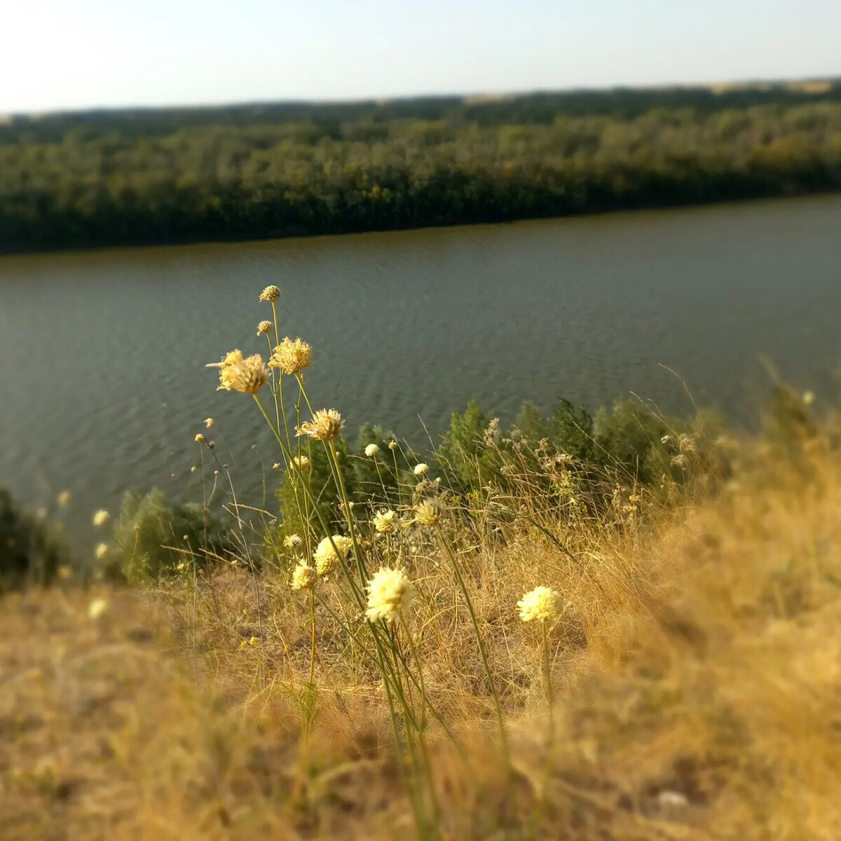 Фото 2 из отзыва о базе отдыха Утес Шукшина