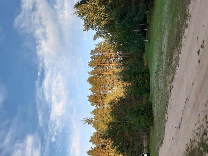 Фото 1 из отзыва о базе отдыха Яр