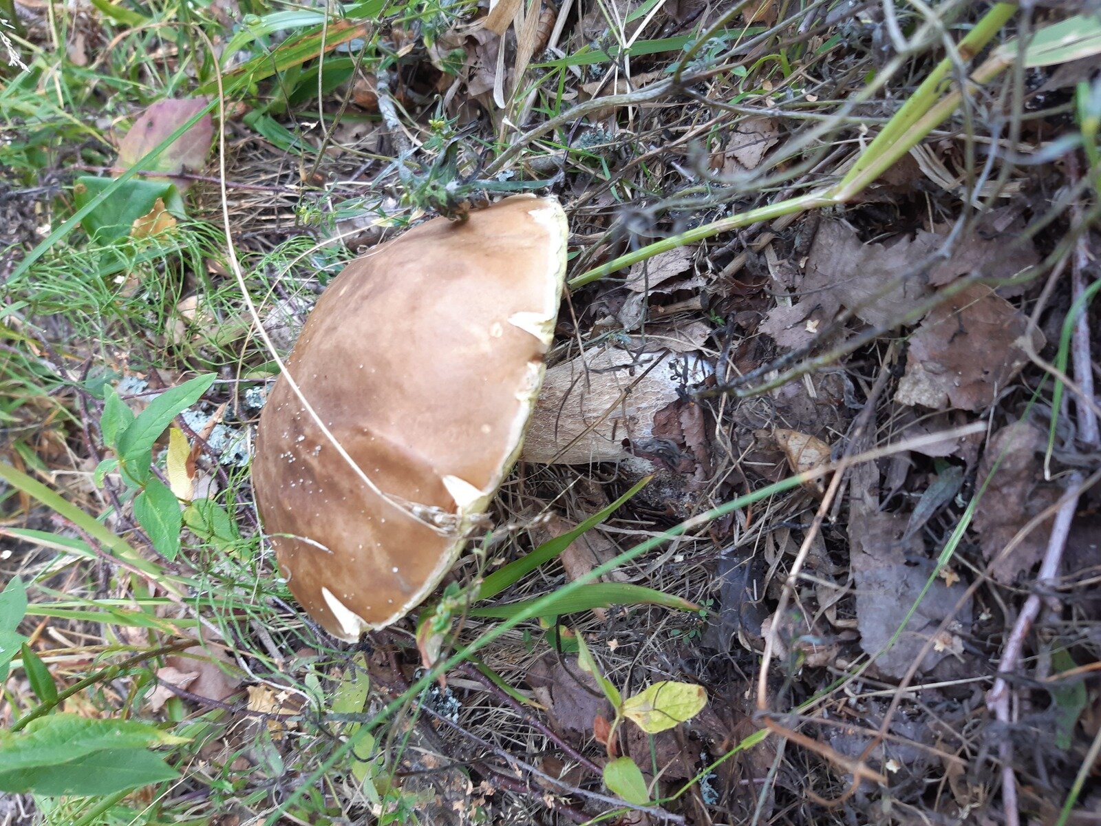 Фото 9 из отзыва о базе отдыха Яр