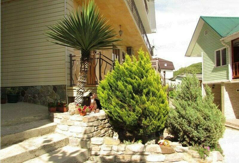 Территория гостевого дома | Елена, Краснодарский край