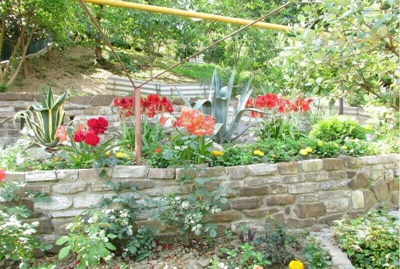 На терриории | Елена, Краснодарский край