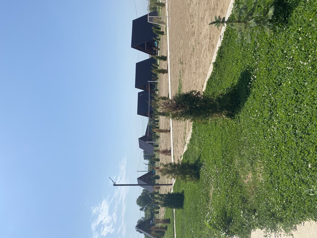 Фото из отзыва от 15.08.2022