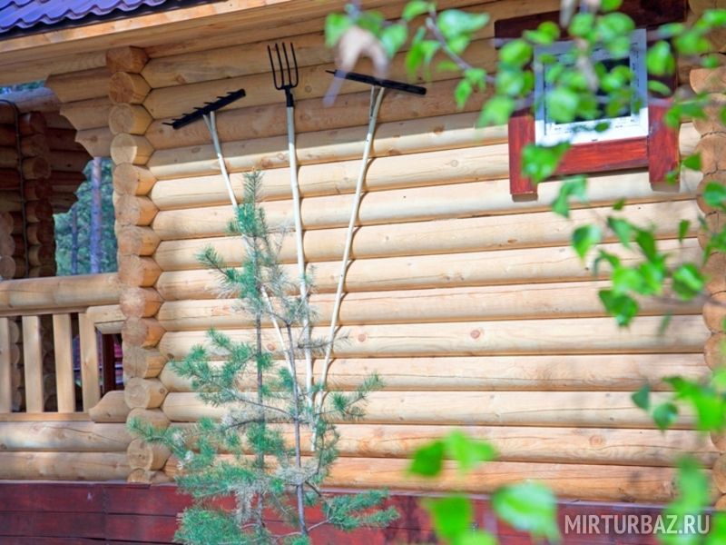 Украшение на стене бани