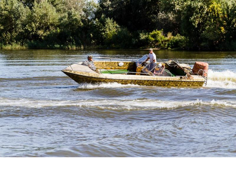 КАТЕР "КАСАТКА 710"