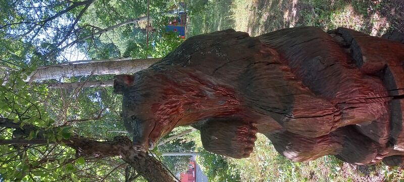 Фото 4 из отзыва о базе отдыха Хуторок