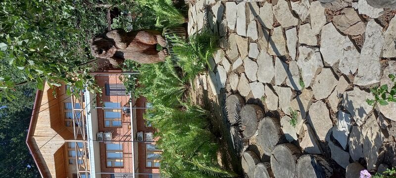 Фото 5 из отзыва о базе отдыха Хуторок