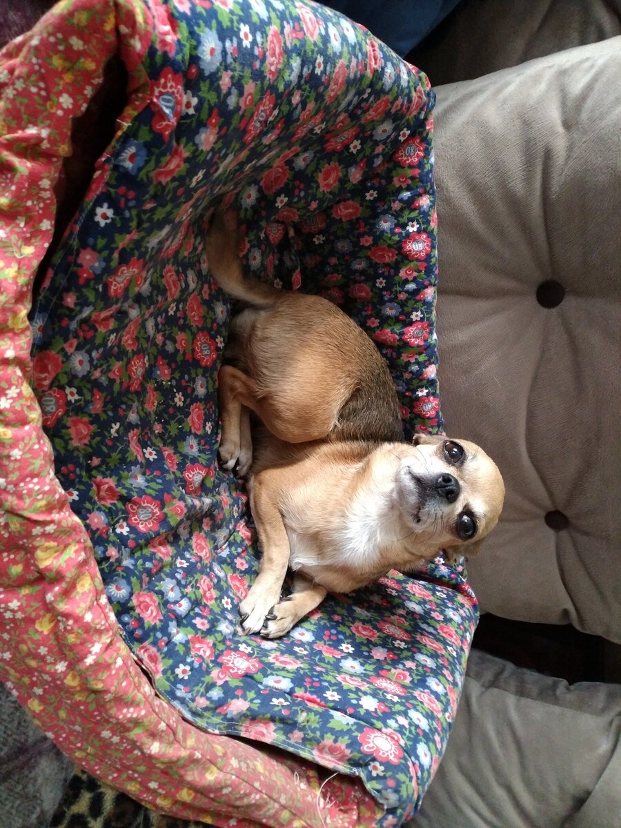 Фото 5 из отзыва об эко-комплексе Тулема