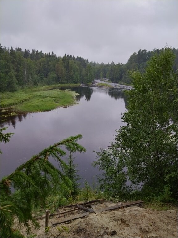 Фото из отзыва от 18.08.2022