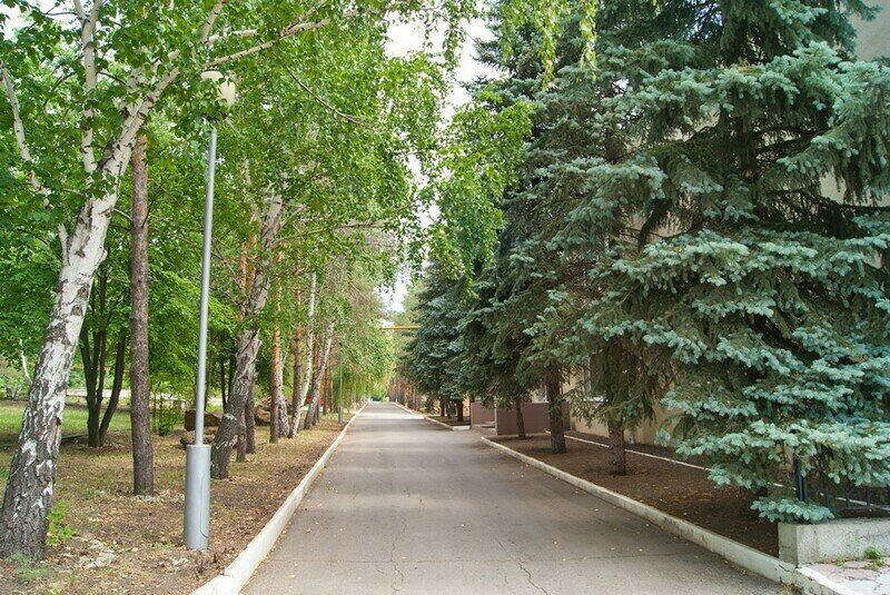 Авангард, Саратовская область: фото 4