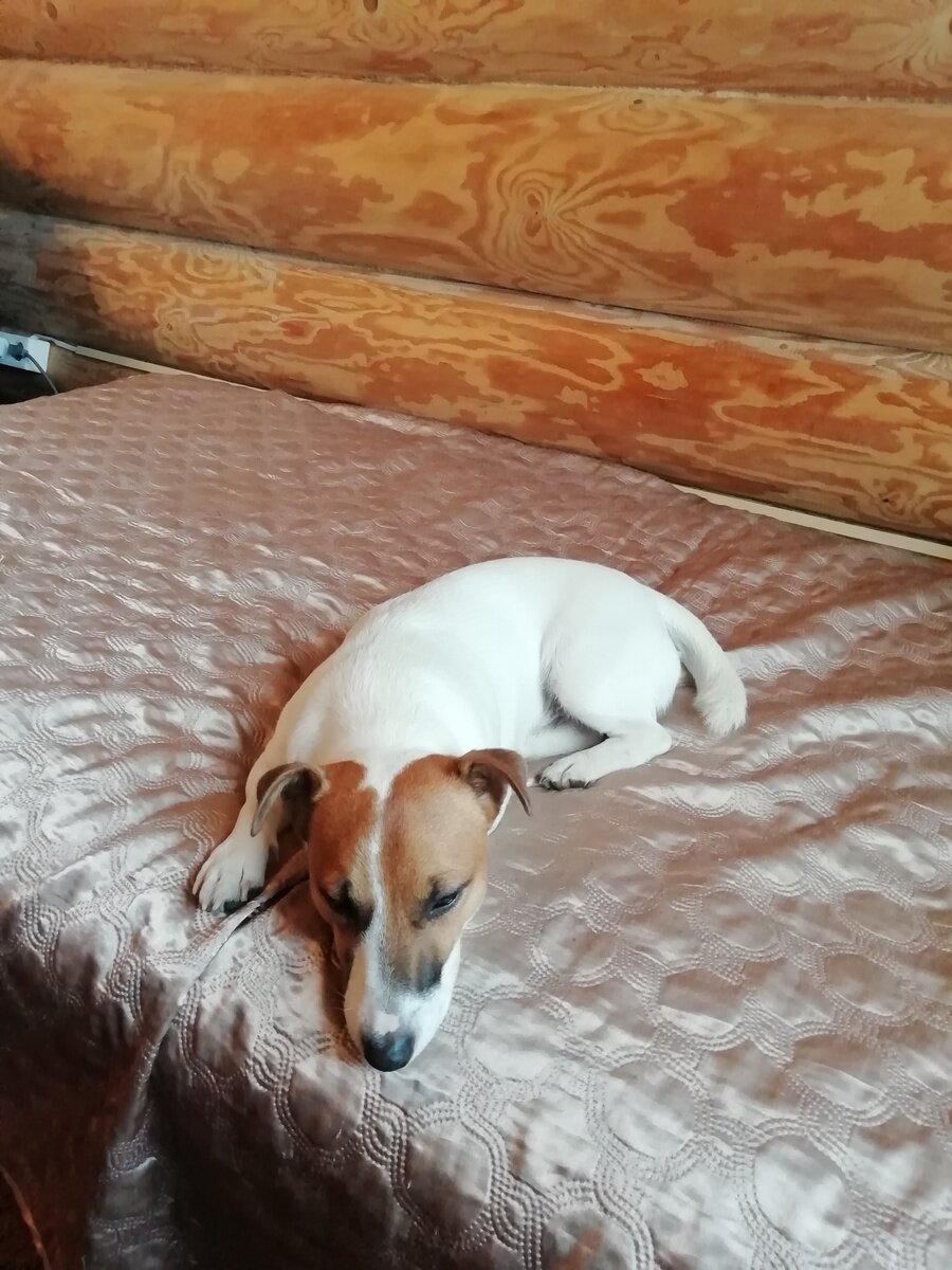 Фото 9 из отзыва о гостевом доме Беличье