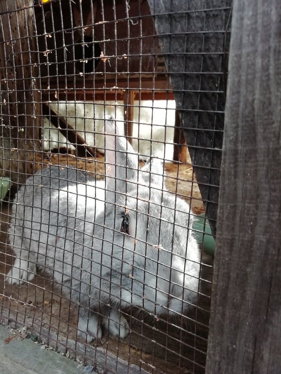 Фото 8 из отзыва о гостевом доме Беличье