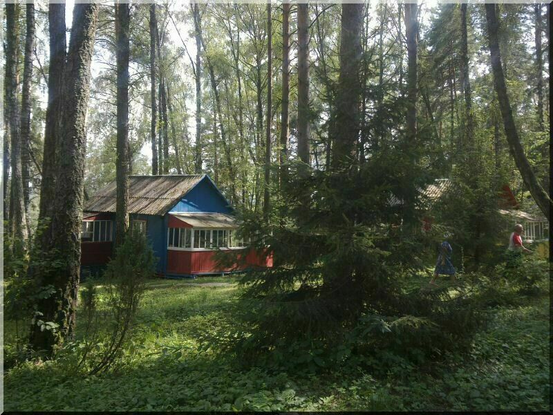 Территория базы | Голубой Огонек, Калужская область