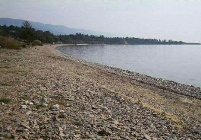 Берег | Данко, Иркутская область