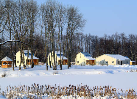 Коттеджи | Милотичи, Калужская область