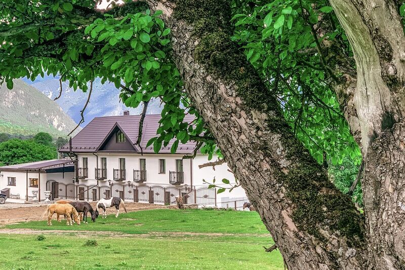 Отель Горная Роза, Республика Карачаево-Черкесия, Архыз 