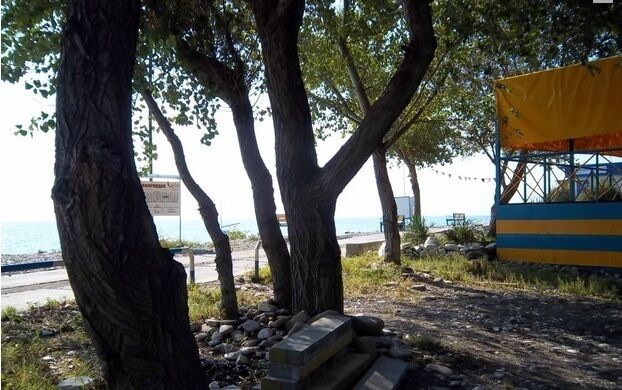 Астра | Астра, Краснодарский край