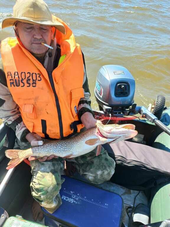 Фото из отзыва от 25.08.2022