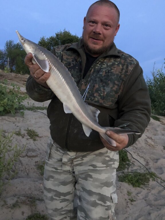 Фото из отзыва от 06.09.2022