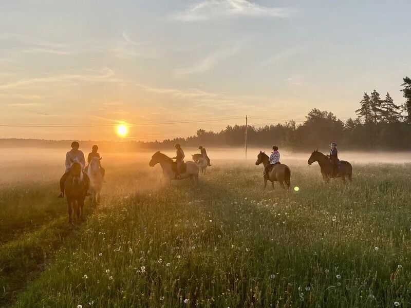 ХвояХутор, Владимирская область: фото 2