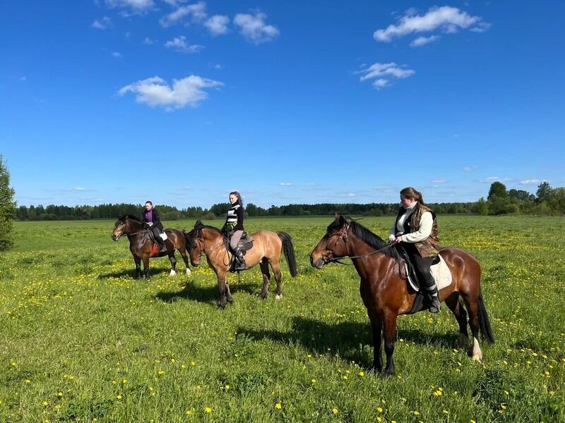 ХвояХутор, Владимирская область: фото 5