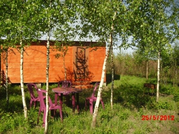 Отдых на улице | Новое село, Смоленская область