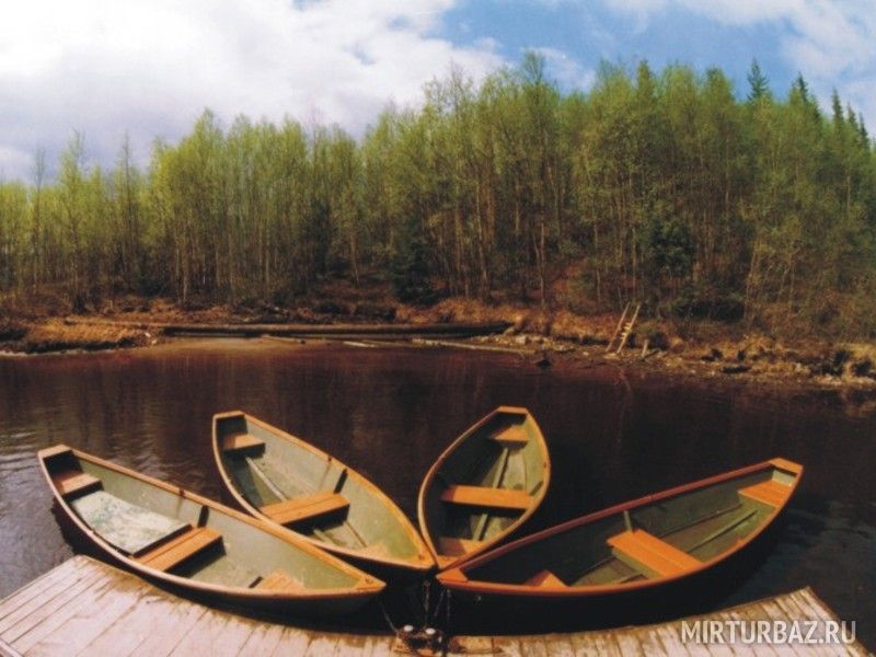 Выбирай любую!