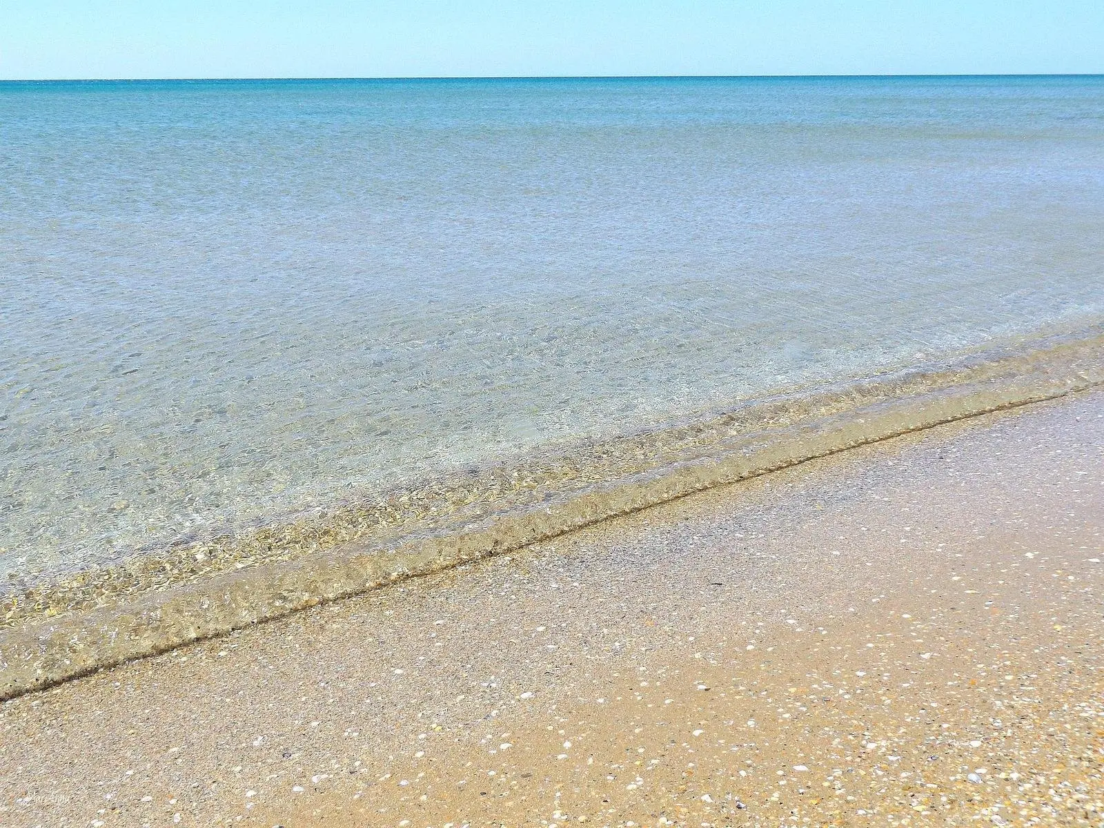 Оазис на Новороссийской, Краснодарский край: фото 5