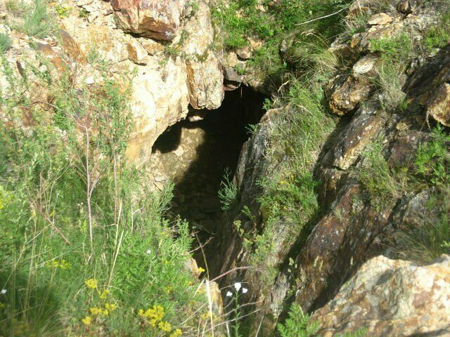 Штольня | Экодом Пихта, Алтайский край