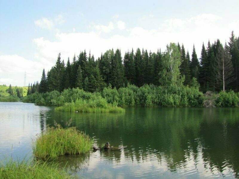 Гостевой дом Кузнецовых, Тягун, Алтайский край