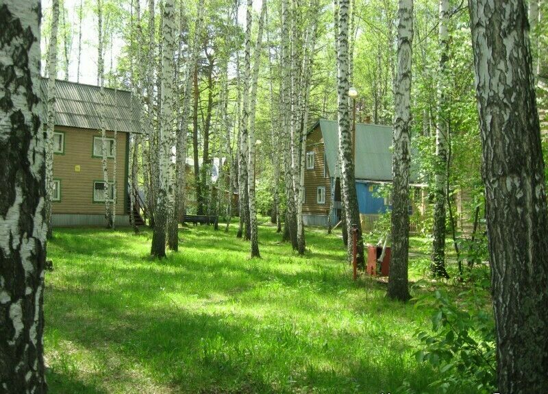 Среди деревьев | Теремки, Новосибирская область