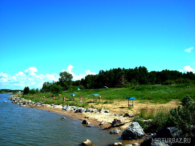 Зеленый клин | Зеленый клин, Новосибирская область