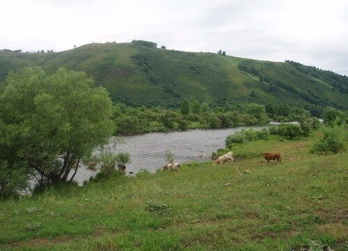 Гостевой дом Легенда, Туманово, Алтайский край