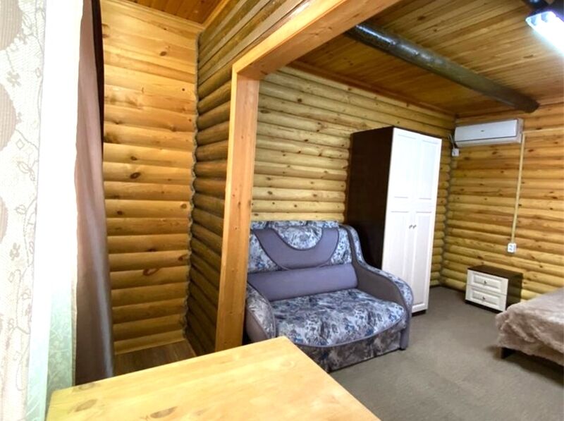 Пушкинская ВИП