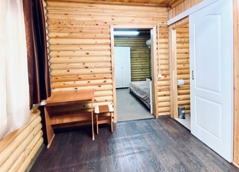 Пушкинская ВИП